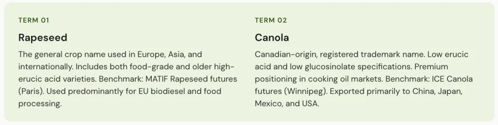 Rapeseed vs Canola