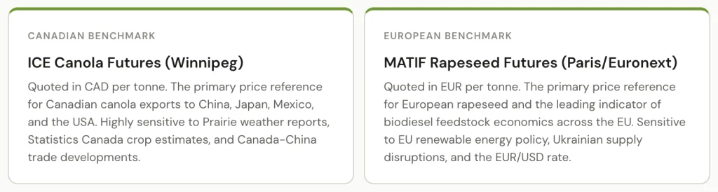 Rapeseed (Canola): How Geopolitics and Energy Policy Turned a Humble Oilseed Into a Strategic Commodity