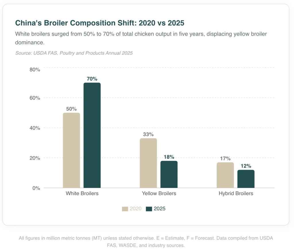China poultry production broiler composition shift showing white broilers rising from 50% to 70% market share between 2020 and 2025