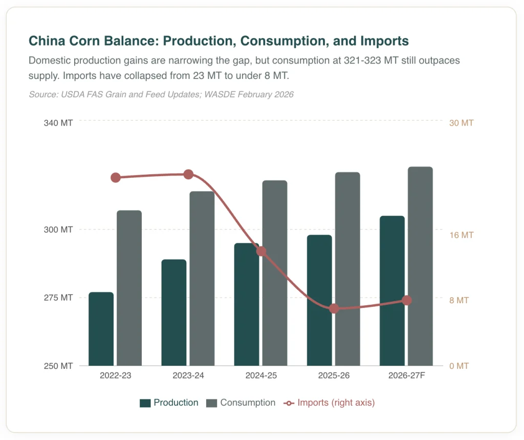 China corn balance chart showing production rising toward 305 million tonnes while imports collapse from 23 million to 8 million tonnes by 2026-27