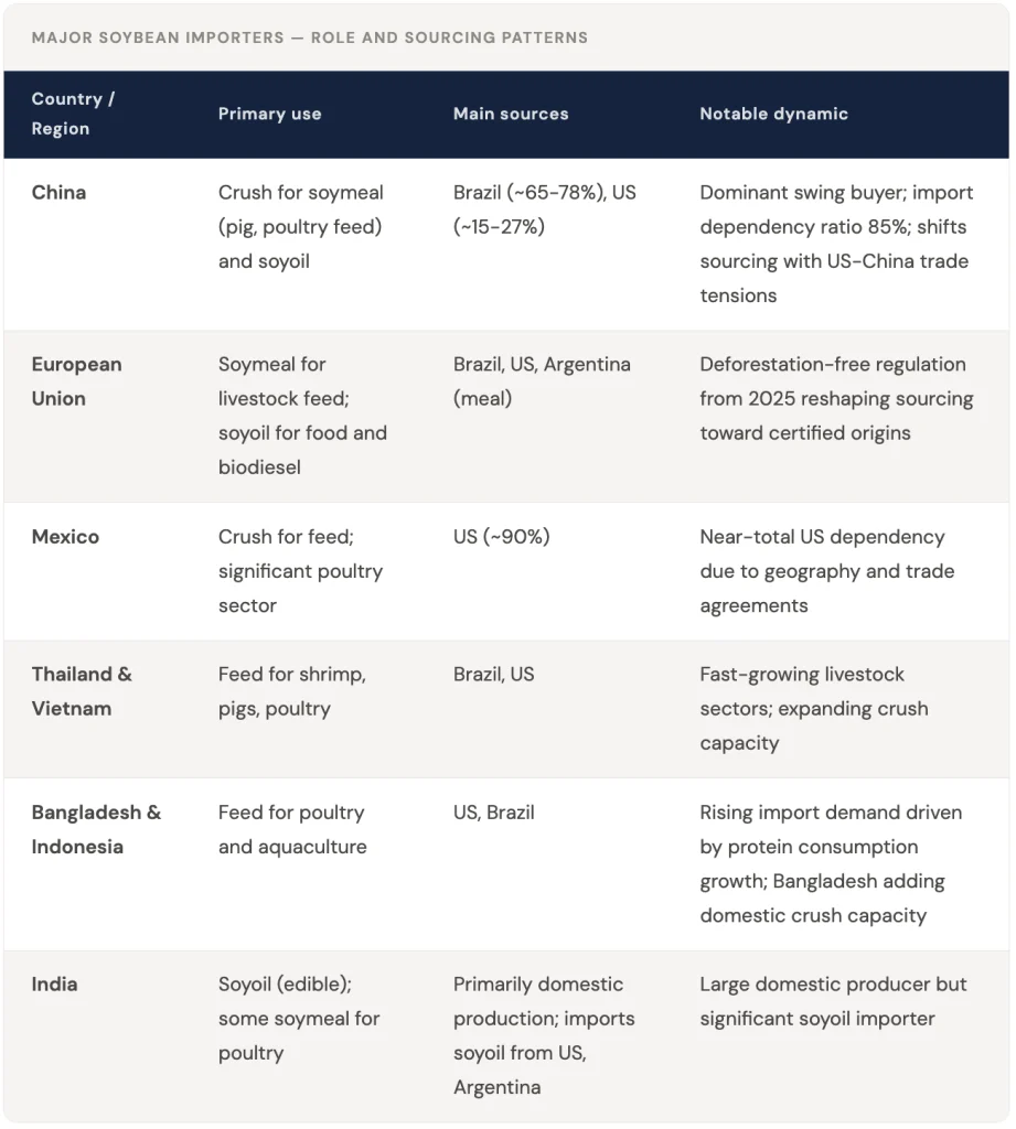 Global Soybean Market: Origins, Trade Flows, and Price Drivers