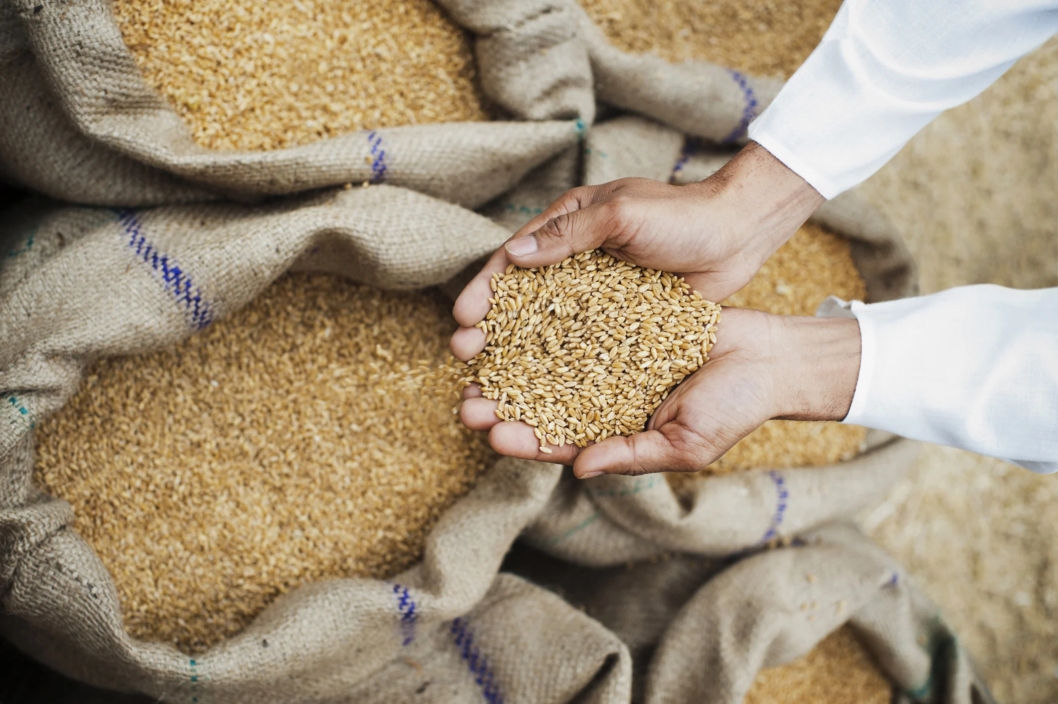 India grain surplus wheat and rice buffer stocks in government warehouses surpassing buffer norms in 2026