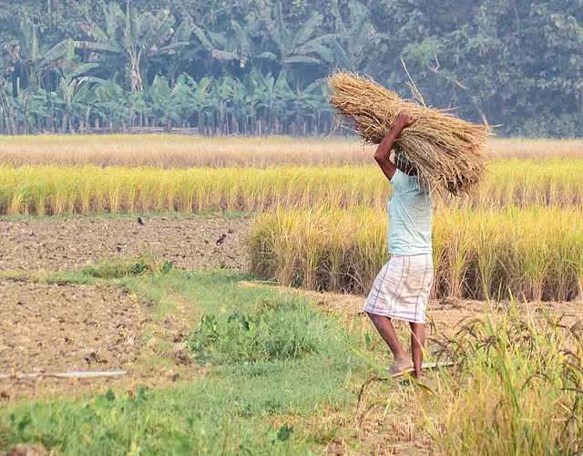 Global Agriculture Crisis Deepens as 3 Converging Risks Threaten 2026 Harvests