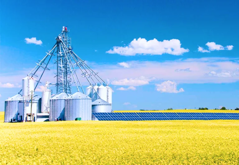 Canadian Agriculture Export Diversification Signals $44B Bullish Opportunity