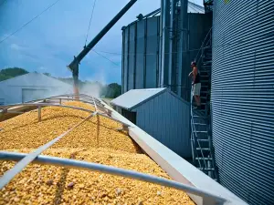 Global grain supply outlook showing wheat fields under drought stress as 2026-27 production forecasts tighten