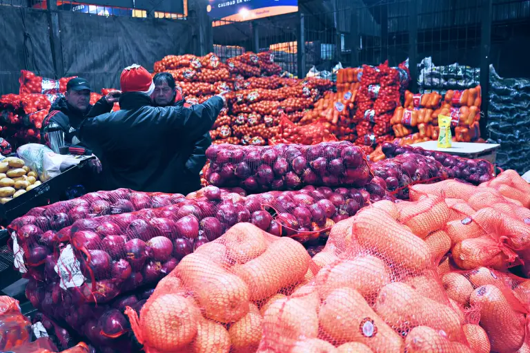 Food export bans and protectionist trade restrictions disrupting global commodity supply chains