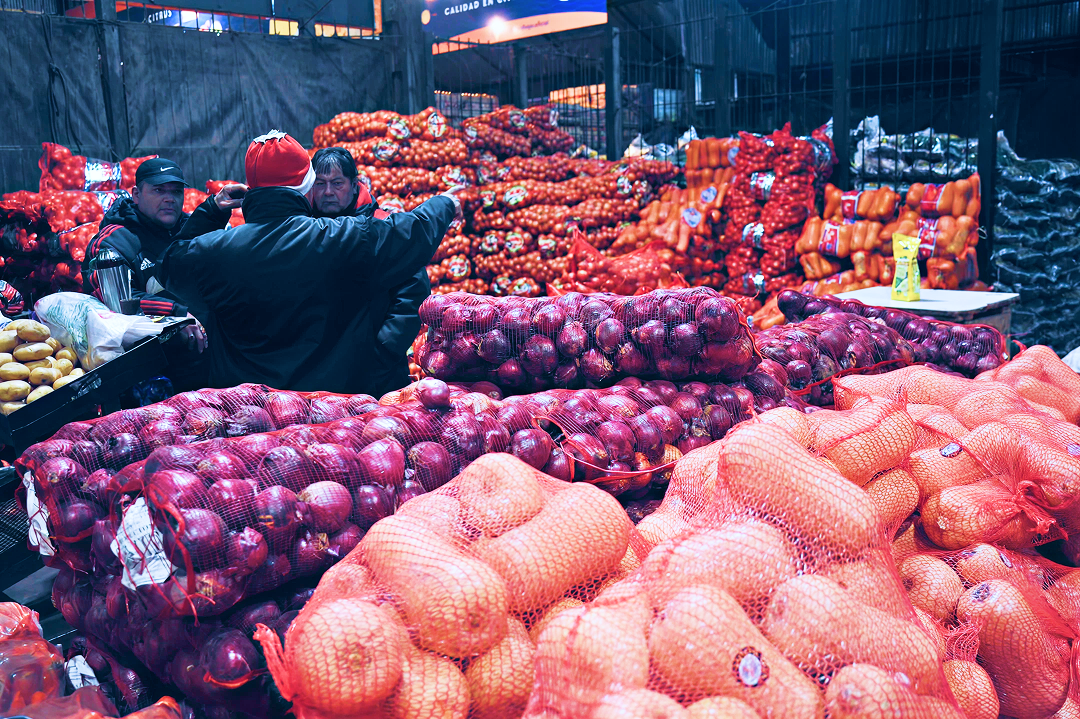 Food export bans and protectionist trade restrictions disrupting global commodity supply chains