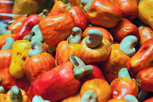 Cashew prices reflected in raw cashew nuts and white whole kernels sorted at a processing facility