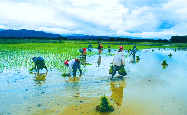 Indian monsoon clouds over dry cracked farmland during below-normal rainfall season