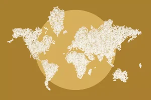 World rice map