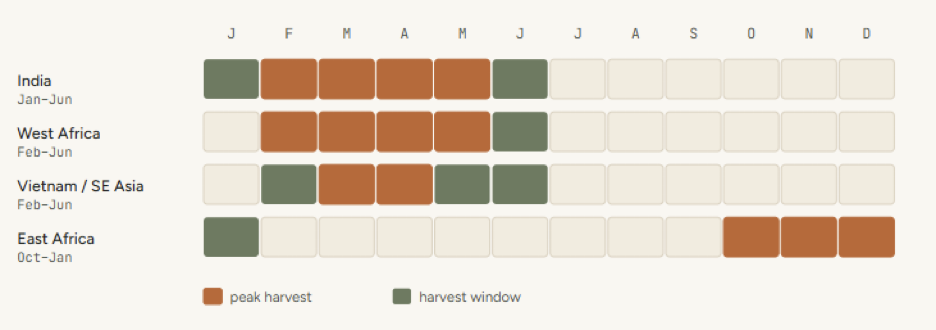 Cashew harvest calendar showing peak harvest and harvest windows