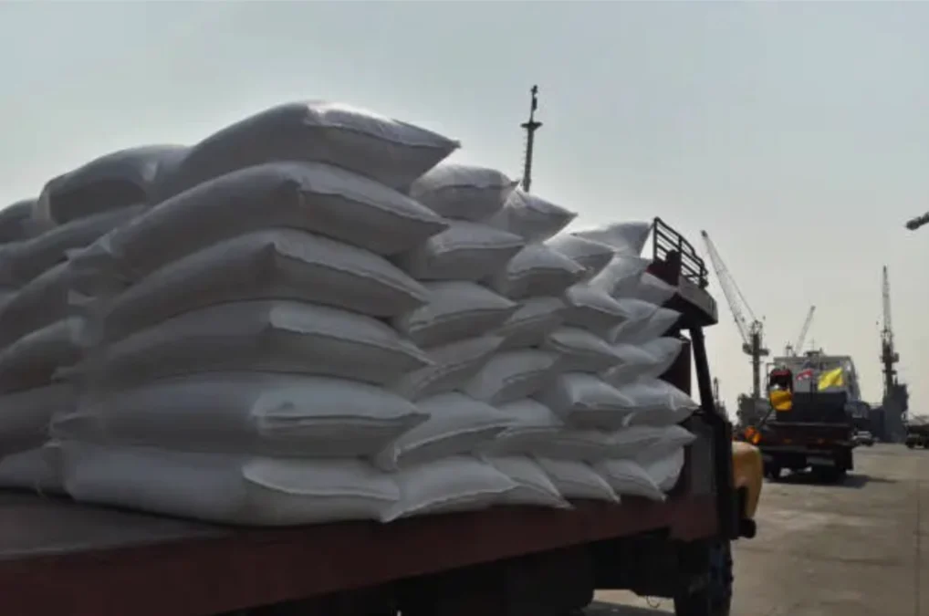 Indian basmati rice prepared for export as global rice prices rise