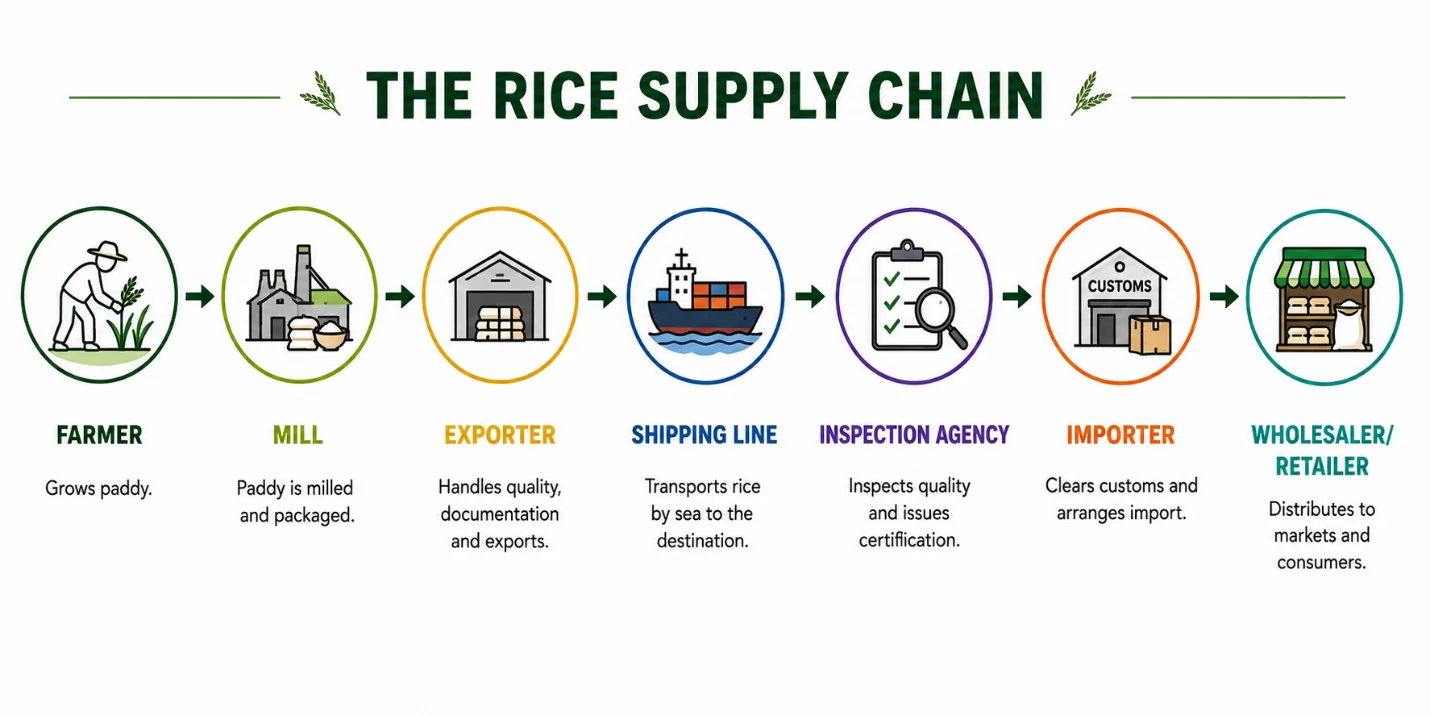 Rice supply chain from farmer to wholesaler or retailer